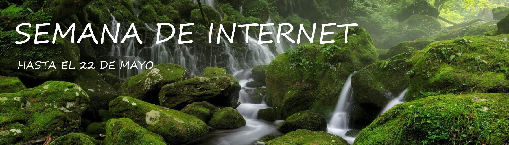 Semana de Internet en Disbaby