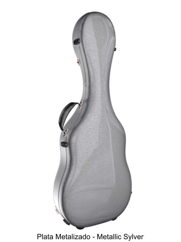 accord guitar case