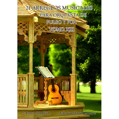 Book XIII: 21 Arreglos Musicales 