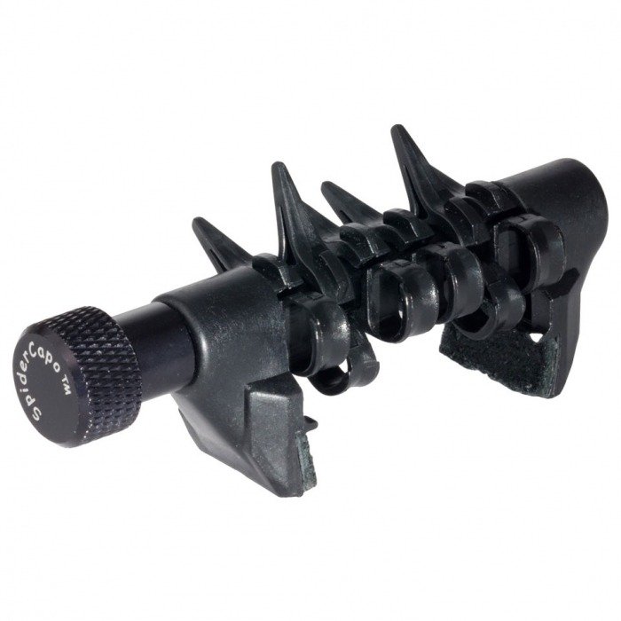 spider capo spider capo