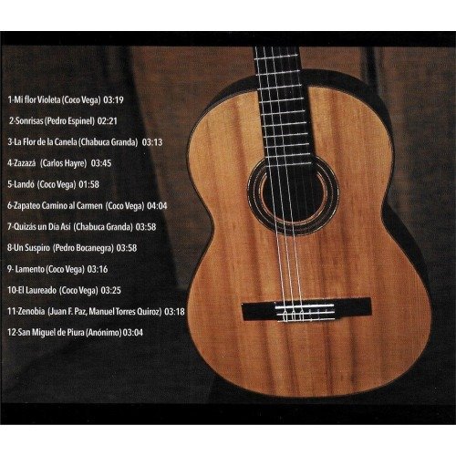 SOLO DE GUITARRA - Coco Vega