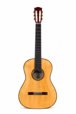 Lorenzo Lippi Concierto 2026