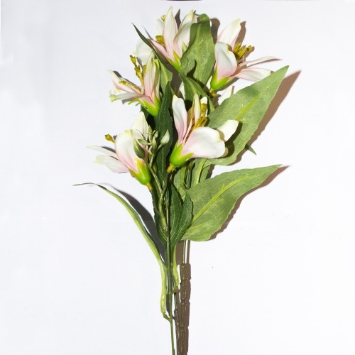 Aki Bricolaje Alcobendas Carretera Fuencarral Sn