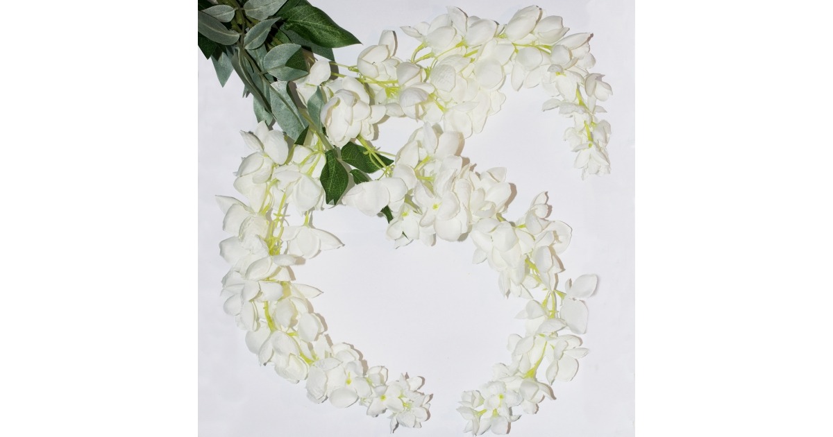 FLOR DE GLICINA BLANCA en plantas y flores New Home