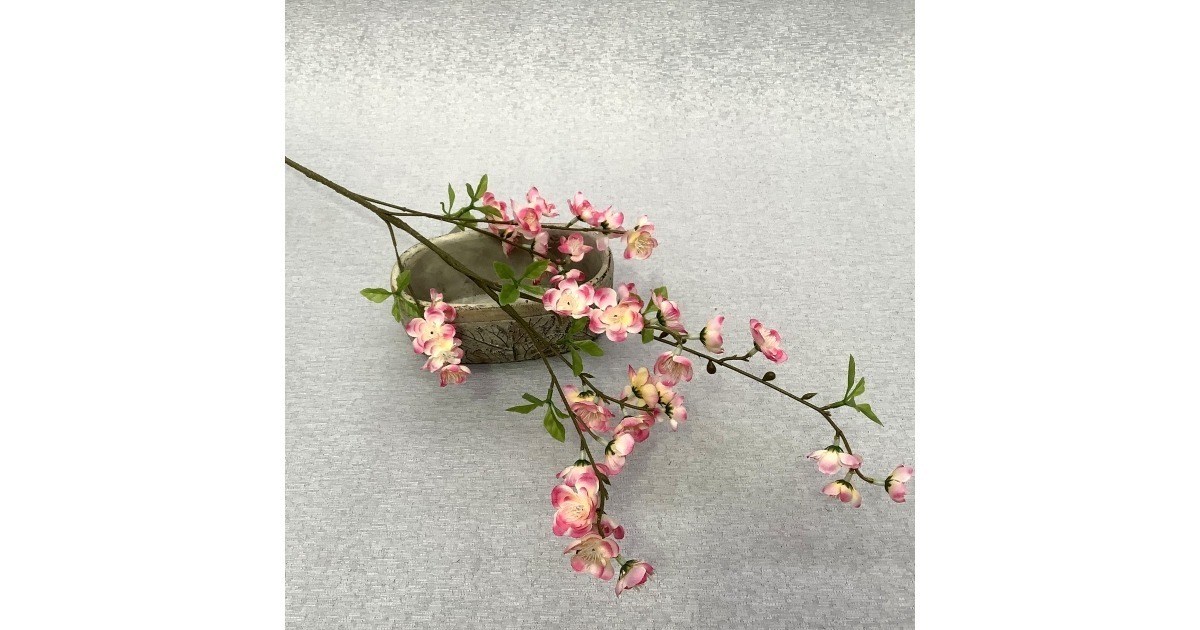 FLOR DE MANZANO ROJA en plantas y flores New Home