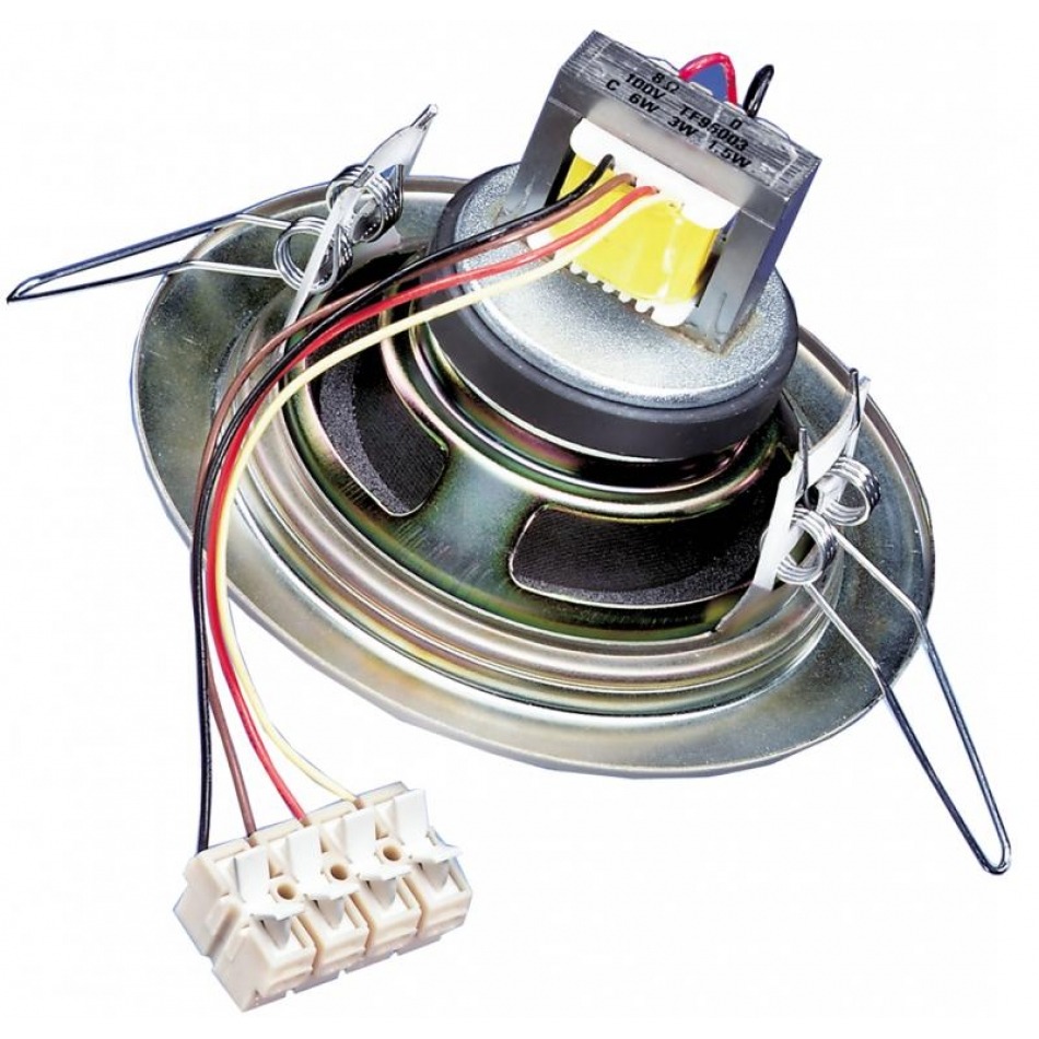 Altavoz de techo 10 cm (4) 100 V
