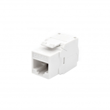 CONECTOR WP KEYSTONE HEMBRA RJ45 CAT 6A UTP BLANCO WPC-KEY-6AUP-TL/W