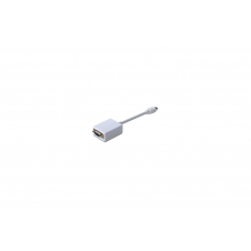 ASSMANN Electronic 0,15 m mini DisplayPort, VGA (D-Sub) Blanco