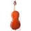 Paolo Traversi - Cello Stradivari