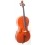 Paolo Traversi - Cello Stradivari