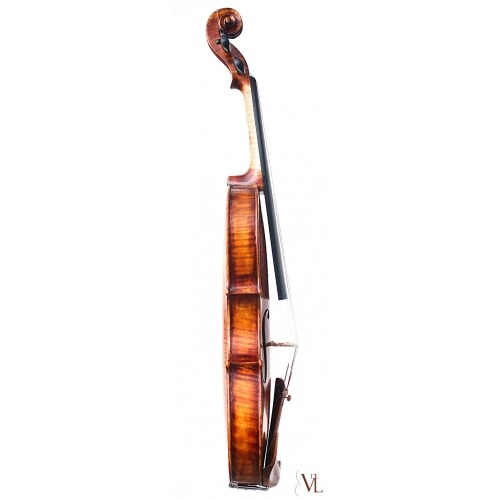 Violin 2008