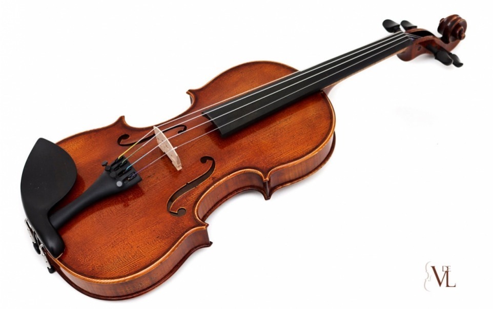 Violin Lothar Semmlinger Profesional