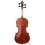 Paolo Traversi - Violin Stradivari