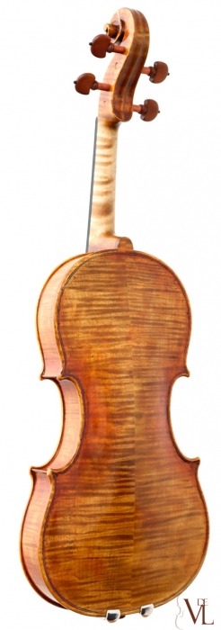 Davide Pizzolato - Violin Guadagnini 1772