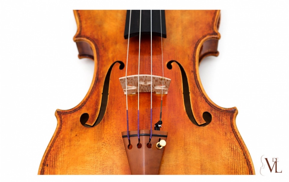 Daniele Tonarelli - Violin Guadagnini 1772
