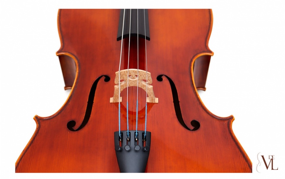 Cello Lucio Grandi model Joseph Guarnerius filius Andreae
