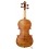 Davide Pizzolato - Violin Antonio Stradivari 