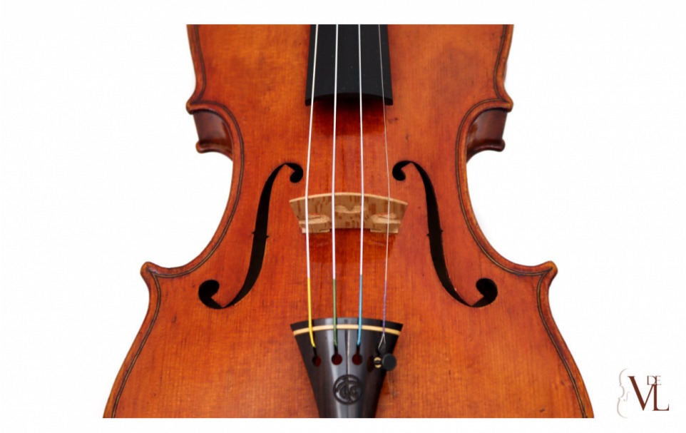 Violin Giuseppe Tarasconi 1899